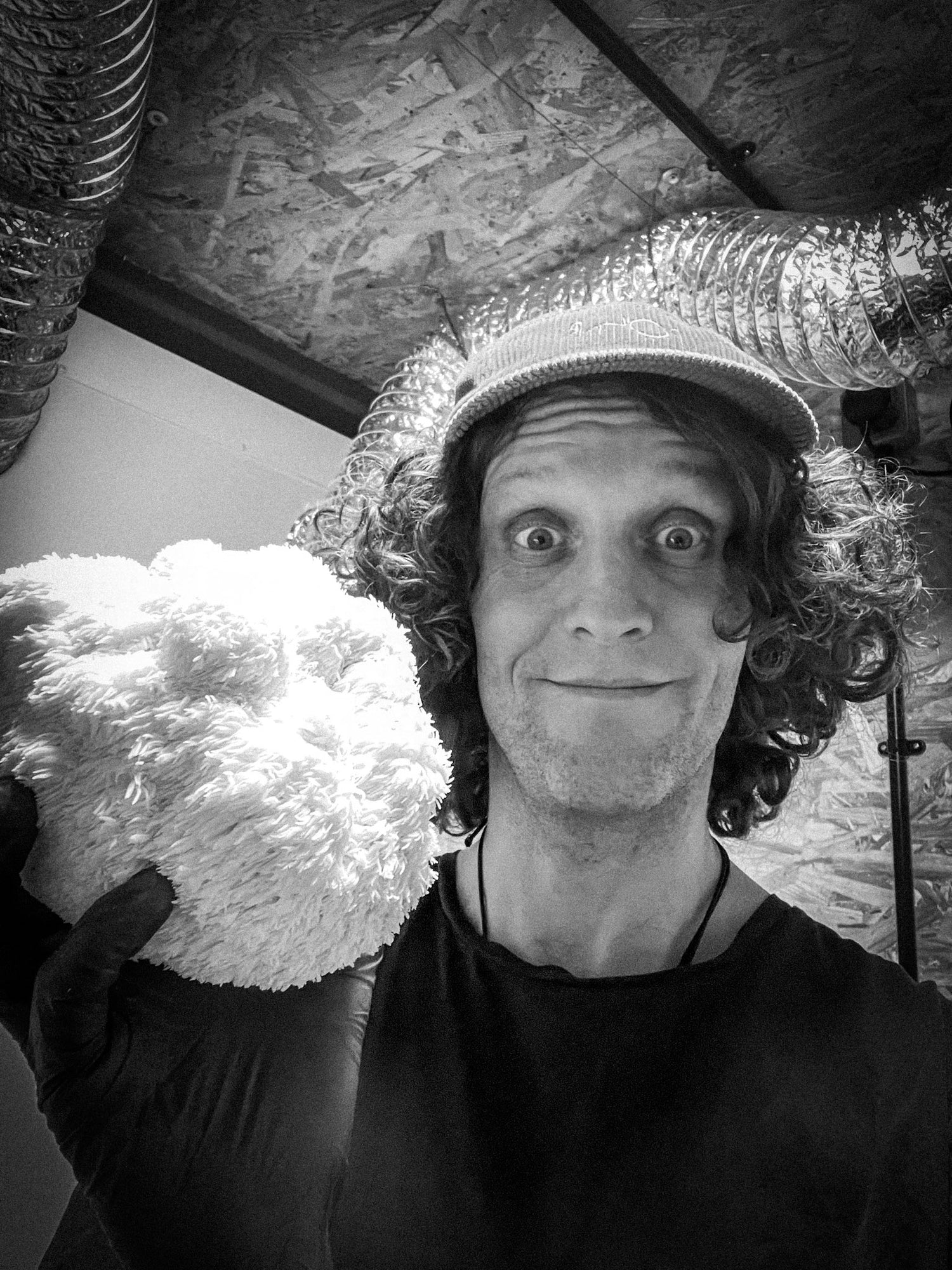 A man holding some fresh lions mane mushroom on a mushroom farm