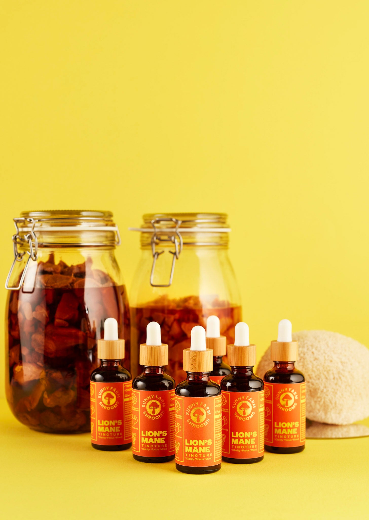 Bottles of lion's mane tincture next to a jar and fresh lion's mane